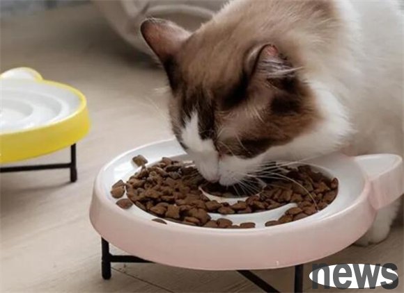 It is not superstition that cats cannot be buried after death, but has scientific evidence!